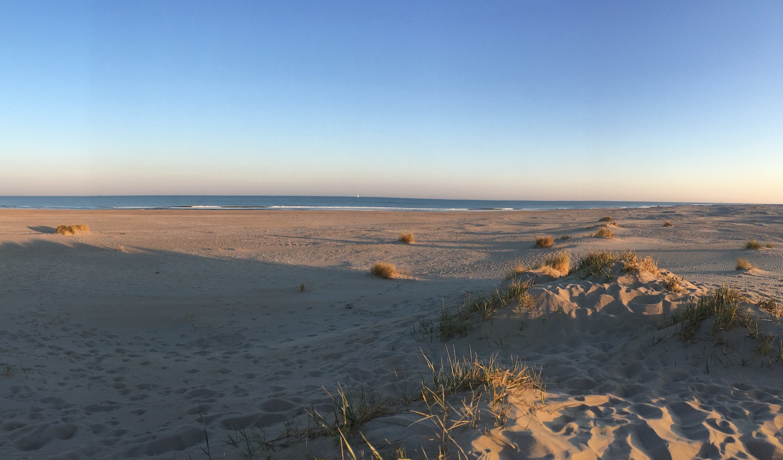 Relatietherapie en -coaching